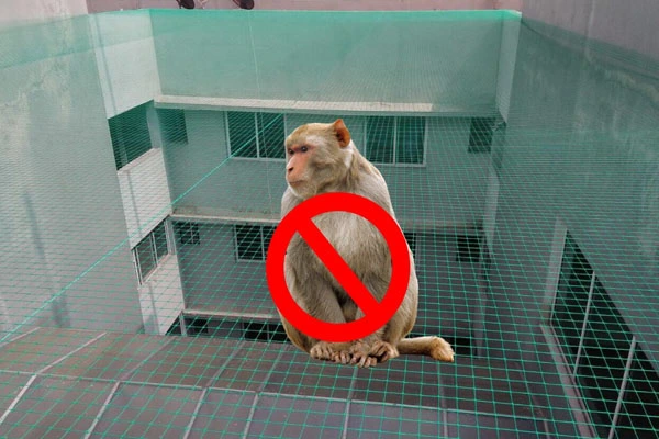 Monkey Safety Nets Installation Service in Hyderabad