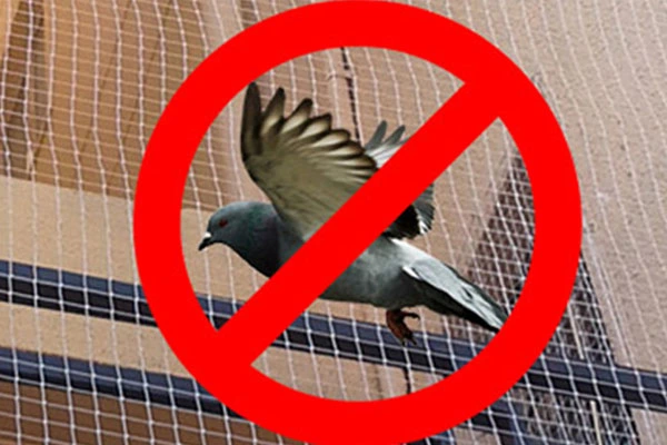 Pigeon Safety Nets in Hyderabad